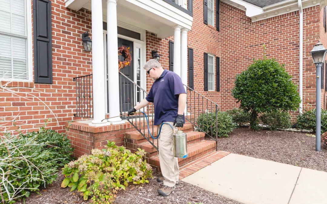 How Pest Control Contributes to a Healthier Home Environment