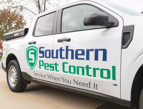 The Importance of Professional Pest Control Services